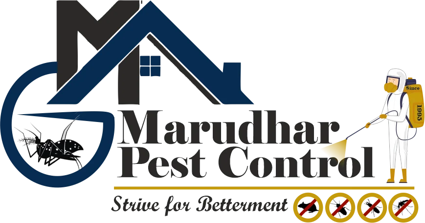 Home 4 final-marudhar-logo